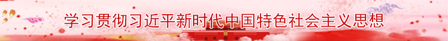 学习贯彻习近平新时代中国特色社会主义思想